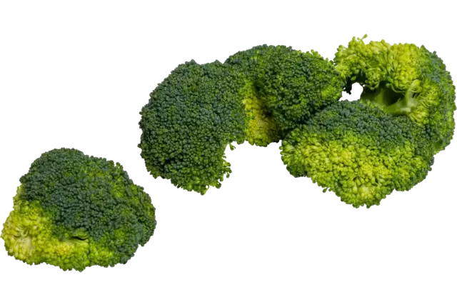 Broccoli roosjes 30-60mm zak 1kg kist 6 stuks